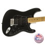 Fender American Special Stratocaster Affordable American made strat with all the features!